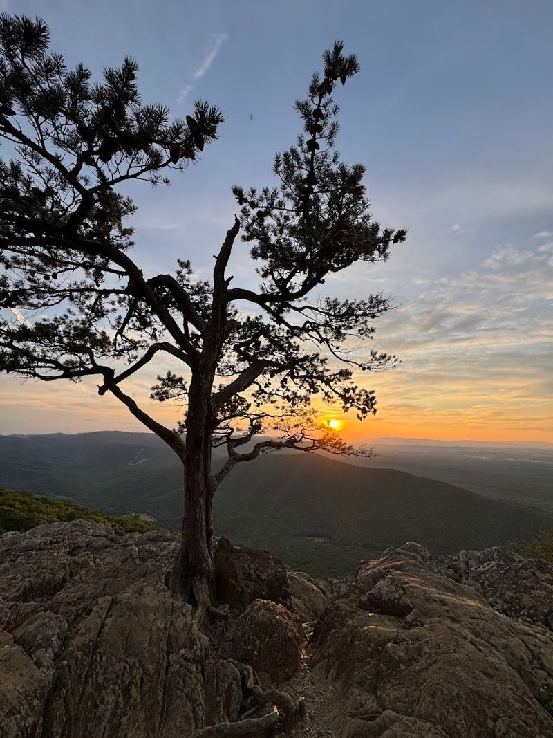 Photography Tips for Capturing the Perfect Shot