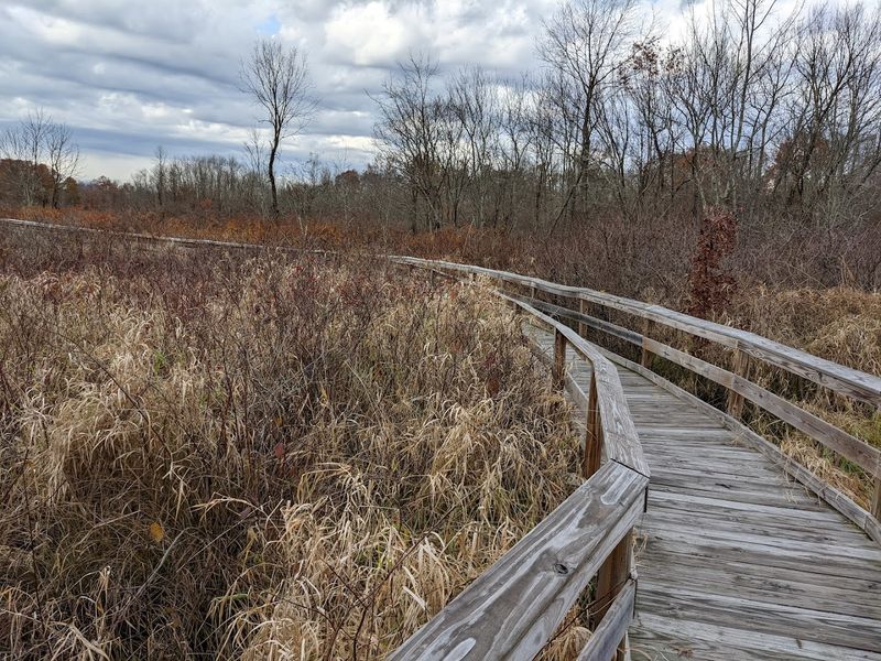 The Boondocks Boardwalk and Back-Country Beauty