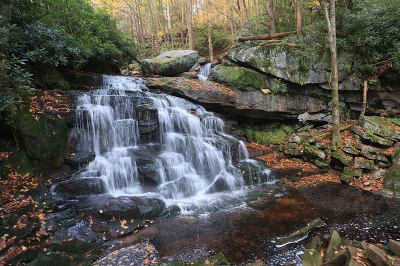 Wildlife and Wildflowers: Nature Puts on a Full Show