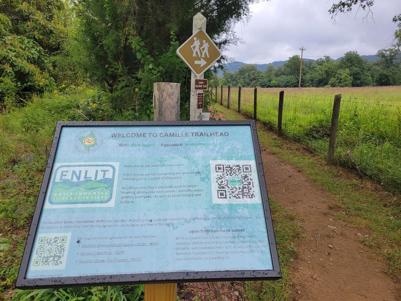 The Appalachian Trail: Walking Through Virginia's Wild Heart