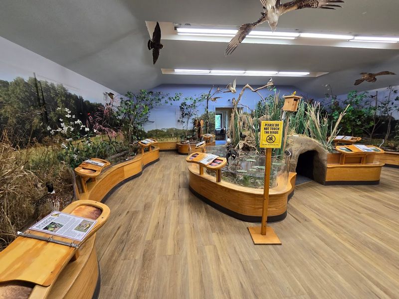 Explore Indoor Exhibits Featuring Taxidermy And Educational Displays
