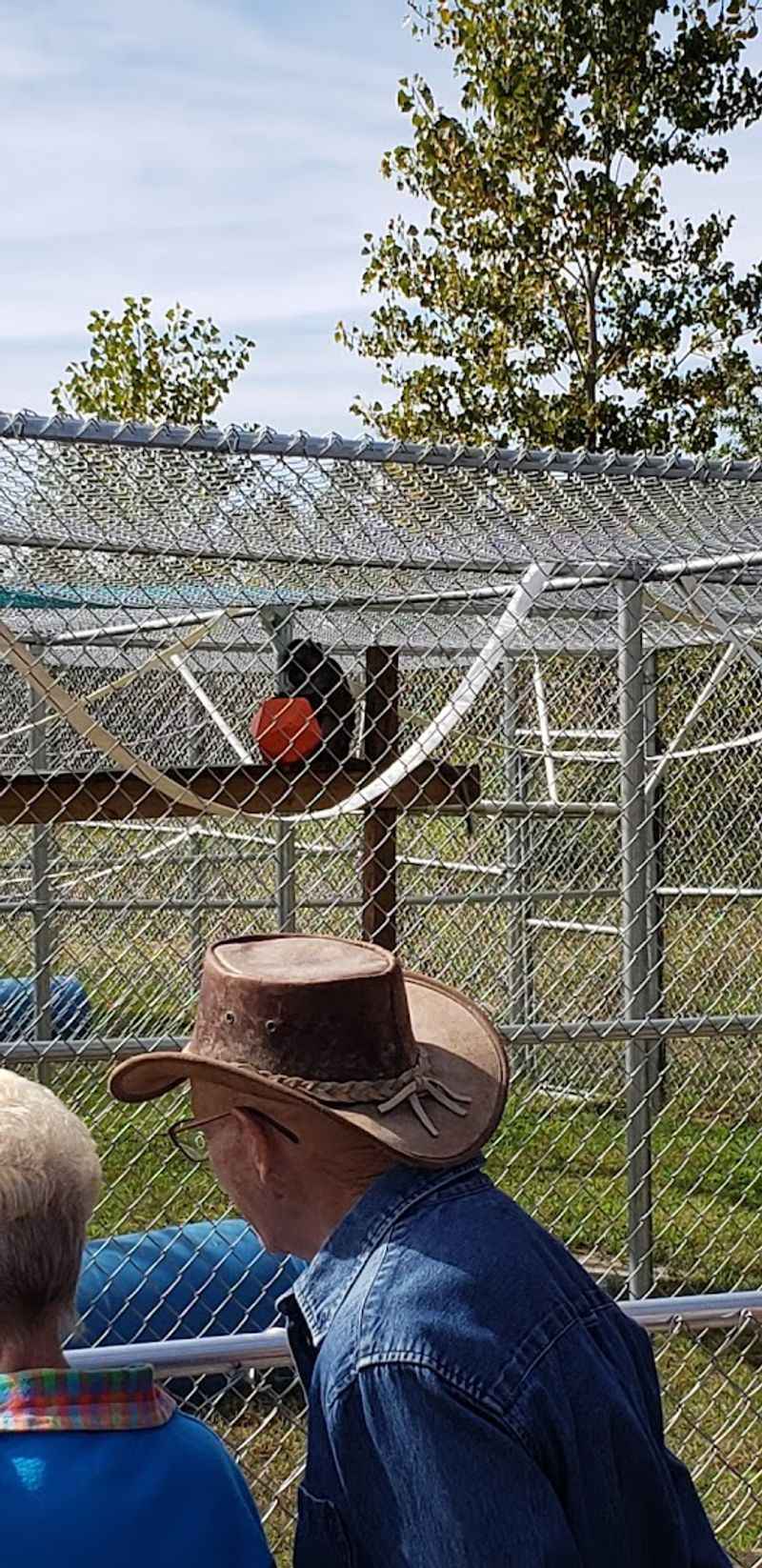 Learning from Passionate and Knowledgeable Tour Guides