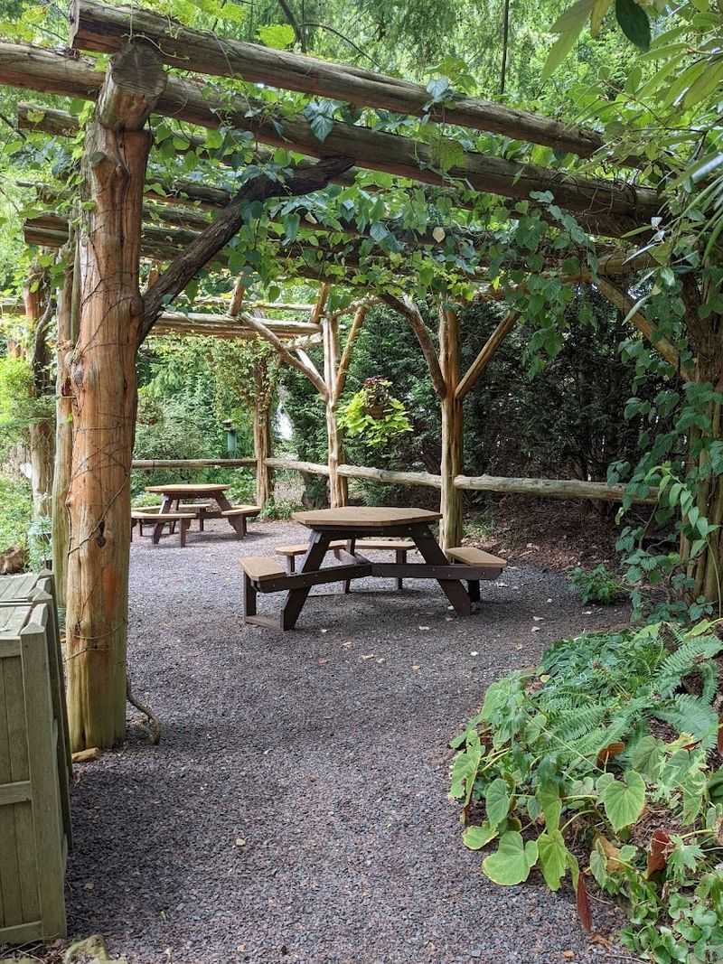 Picnic Spots and Benches for a Slow, Savory Afternoon