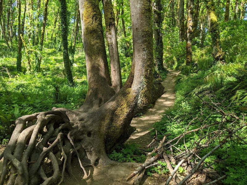 Seasonal Magic and Year-Round Visits