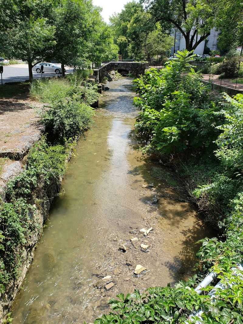 The Shenandoah Valley Backdrop: Staunton's Natural Stage