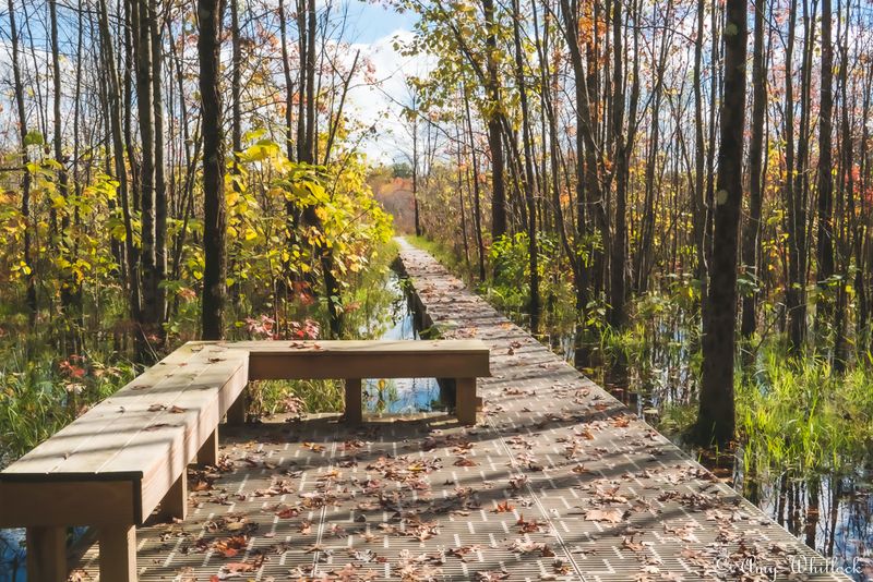 A Wetland of Distinction Award Winner with Deep Conservation Roots