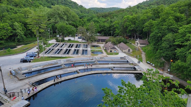 The On-Site Hatchery Is Genuinely Fascinating