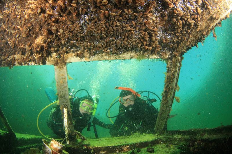 Sunken Planes That Make Every Dive Feel Like an Expedition