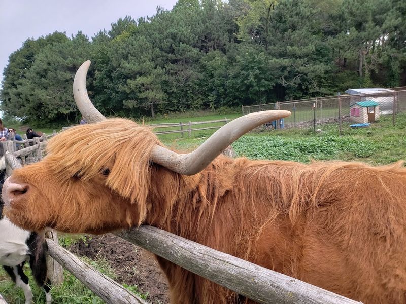 Today Is Your Last Chance For 2026