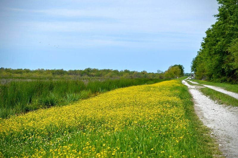 The Entrance That Sets the Mood Immediately