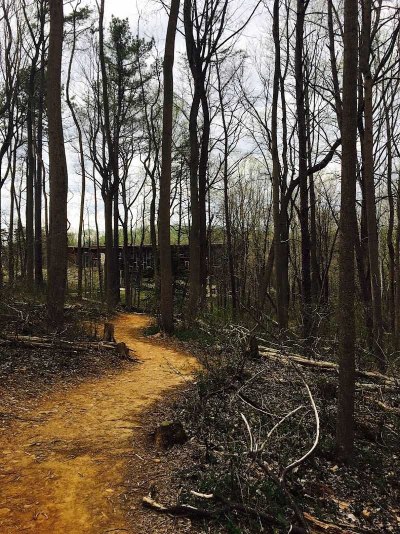 The Trail Entrance That Sets the Mood Instantly