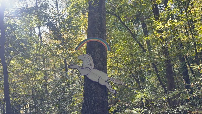 Hiking Trails with Hidden Surprises Along the Way