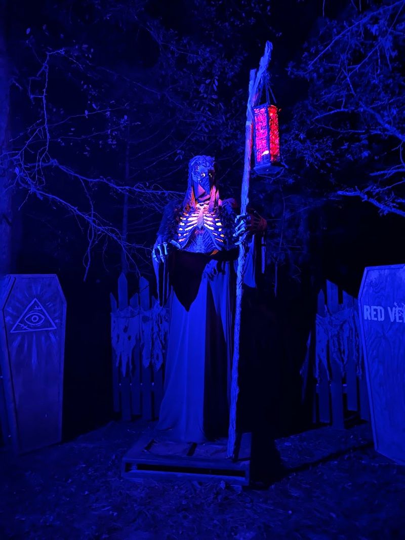 the haunted woods trail where darkness becomes the main character