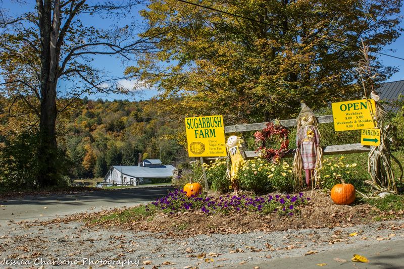 Sugarbush Farm (Woodstock)