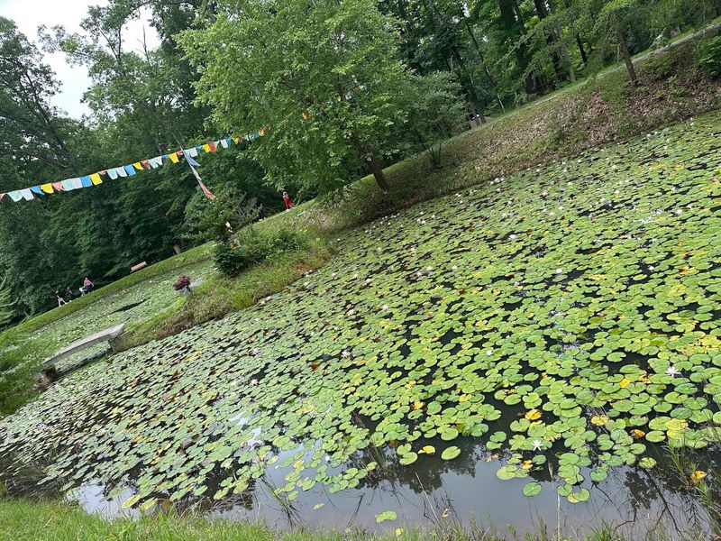 108 Acres of Wooded Grounds Offer a Rare Chance to Truly Slow Down