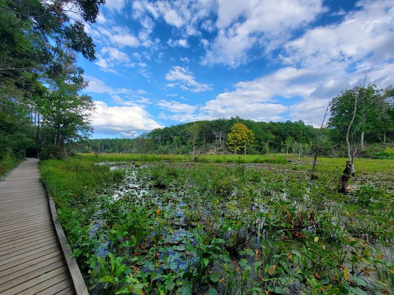 13 Miles of Trails Beyond the Beach