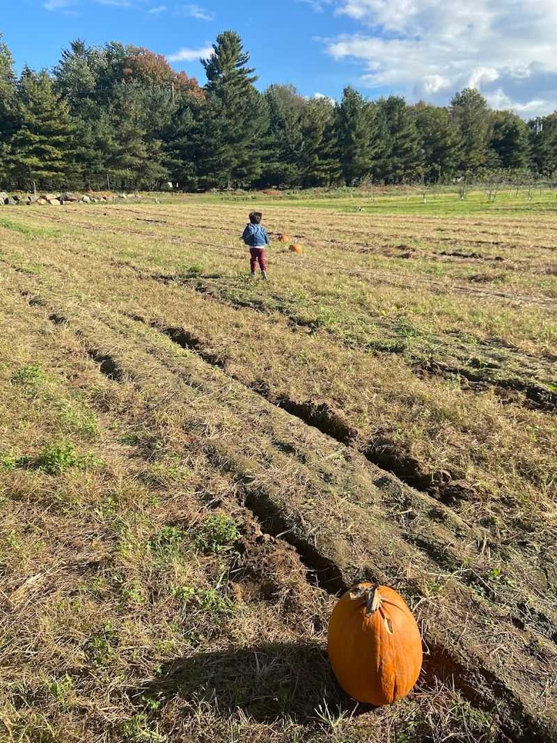 14 Acres of Continuously Farmed Land