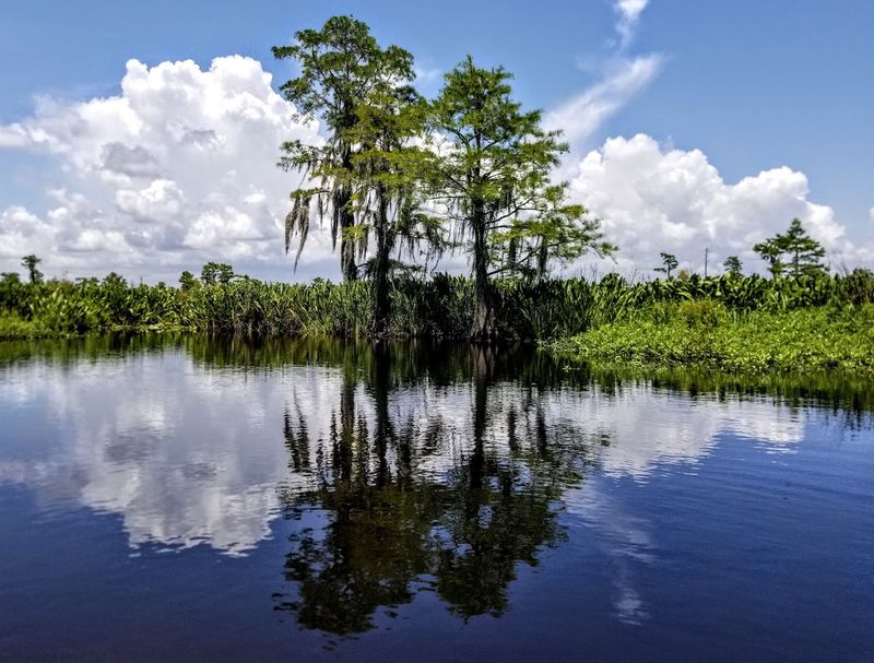 42,292 Acres of Protected Swamp: Why the Size Actually Matters 42,292 Acres of Protected Swamp: Why the Size Actually Matters