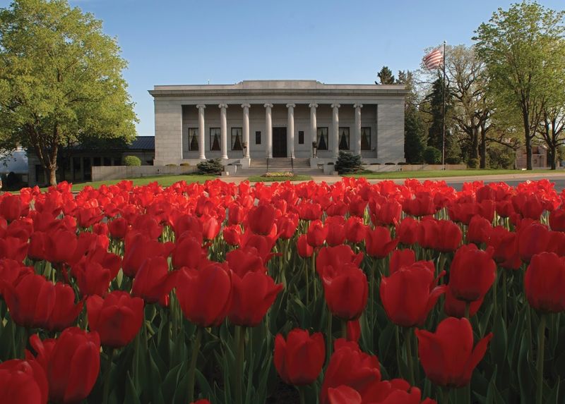 50,000 Tulips That Paint the Grounds Every Spring