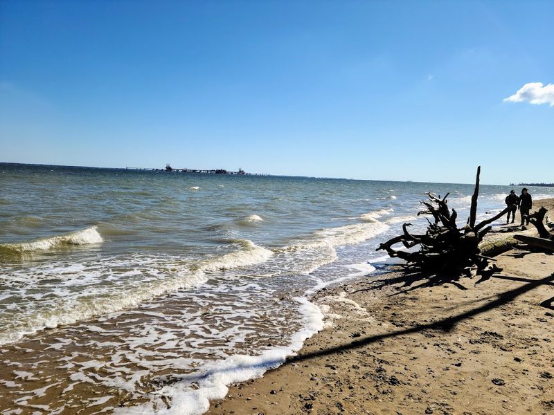 A Beach That Rewards Early Arrivals
