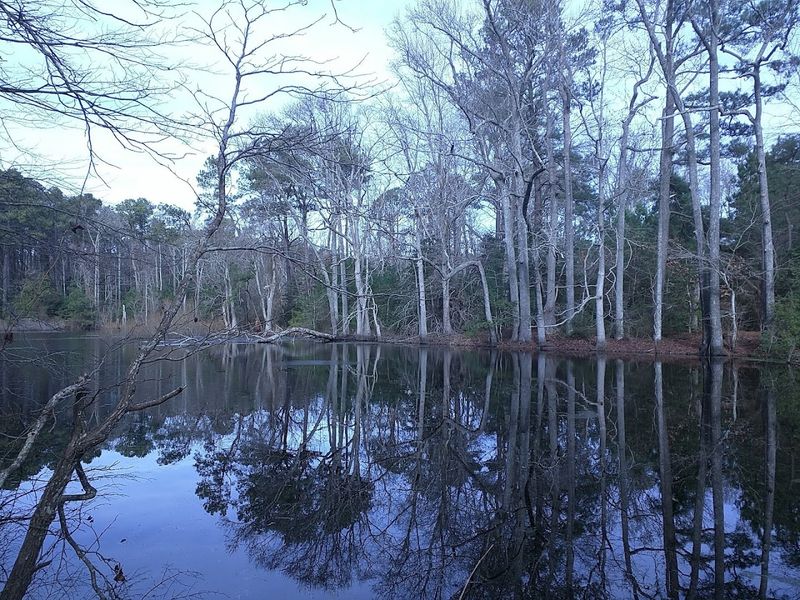 A Birdwatcher's Paradise with Over 222 Species