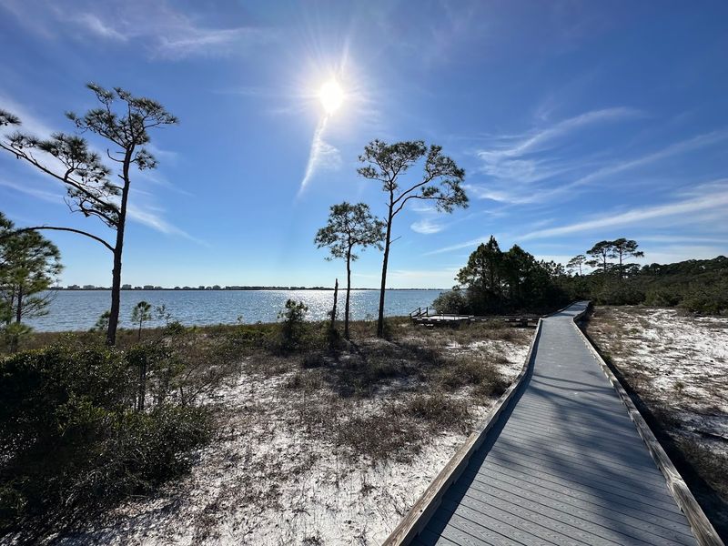 A Boardwalk That Feels Like Walking Into Another World