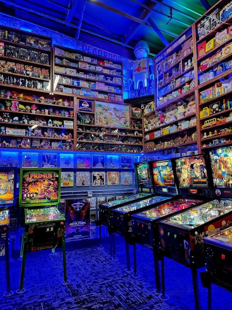 A Collection of Pinball Machines Like No Other