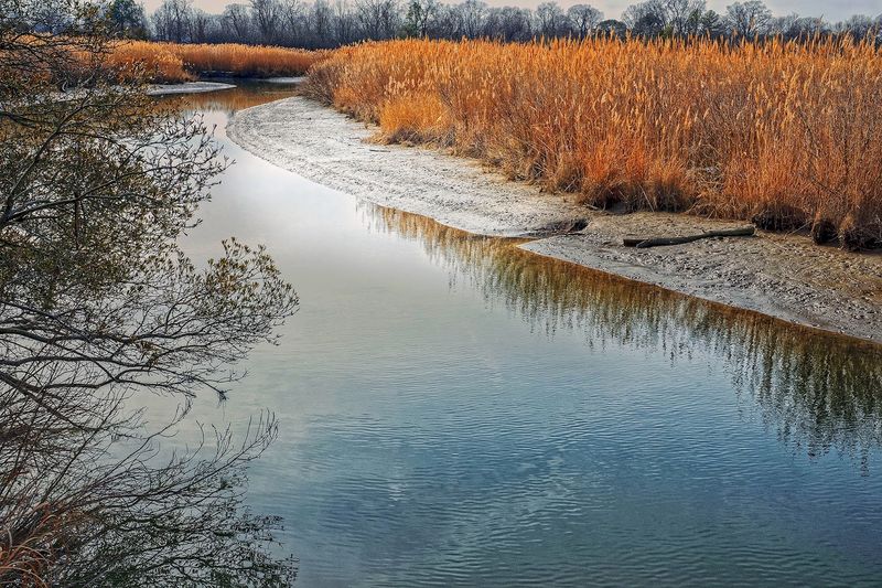 A Conservation Story Worth Knowing Before You Go