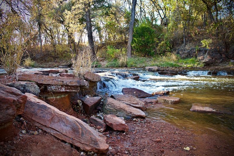 A Creek, a Waterfall, and the Sounds of Moving Water