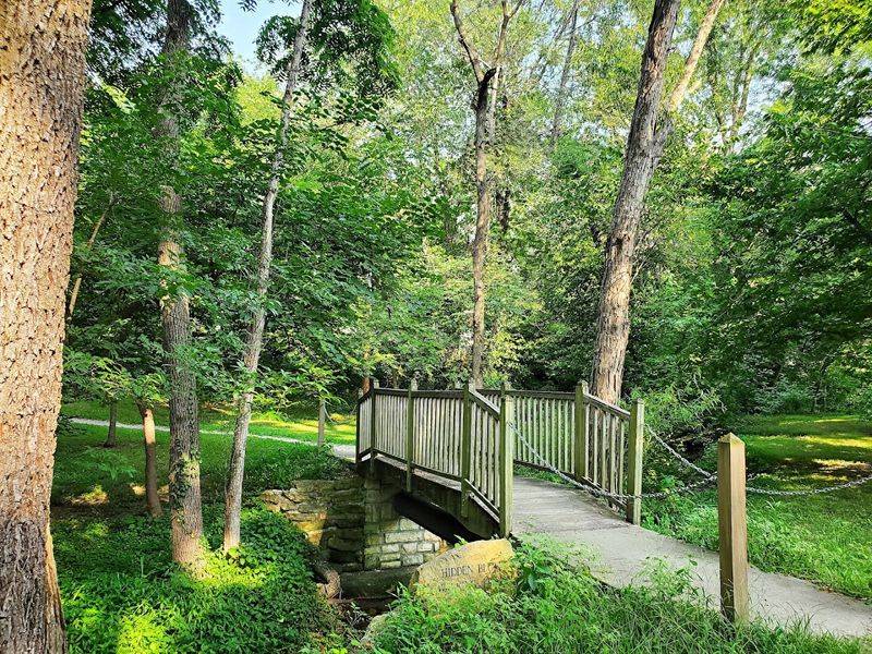 A Dog-Friendly Space With Real Thoughtfulness A Dog-Friendly Space With Real Thoughtfulness