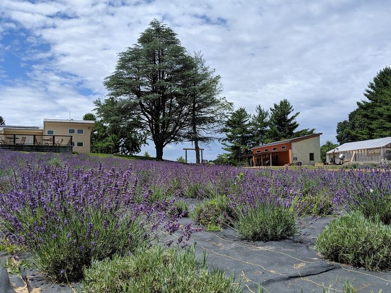 A Family Farm Rooted in Organic Tradition A Family Farm Rooted in Organic Tradition