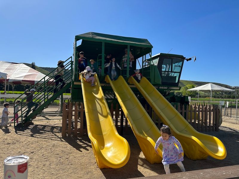A Farm That Lets Kids Be Kids