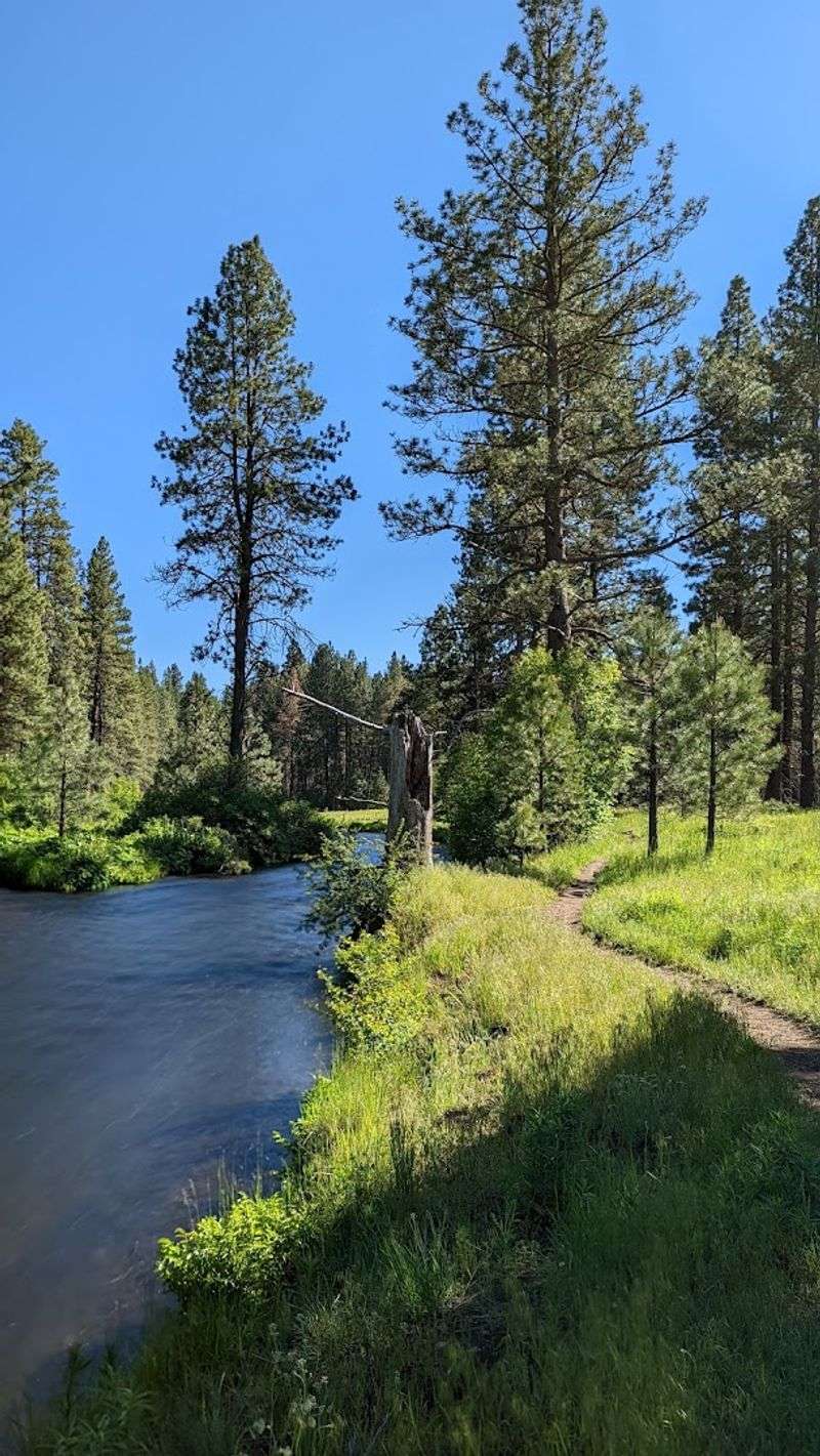 A Flat Trail That Works For Almost Everyone