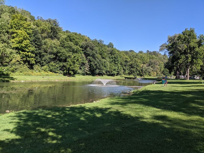 A Forgotten Farm Pond in Fillmore County