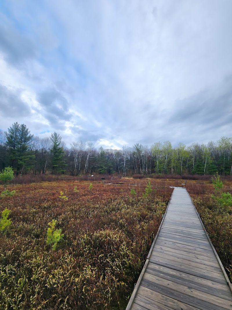 A Free Park With Trails, Bogs, and River Views