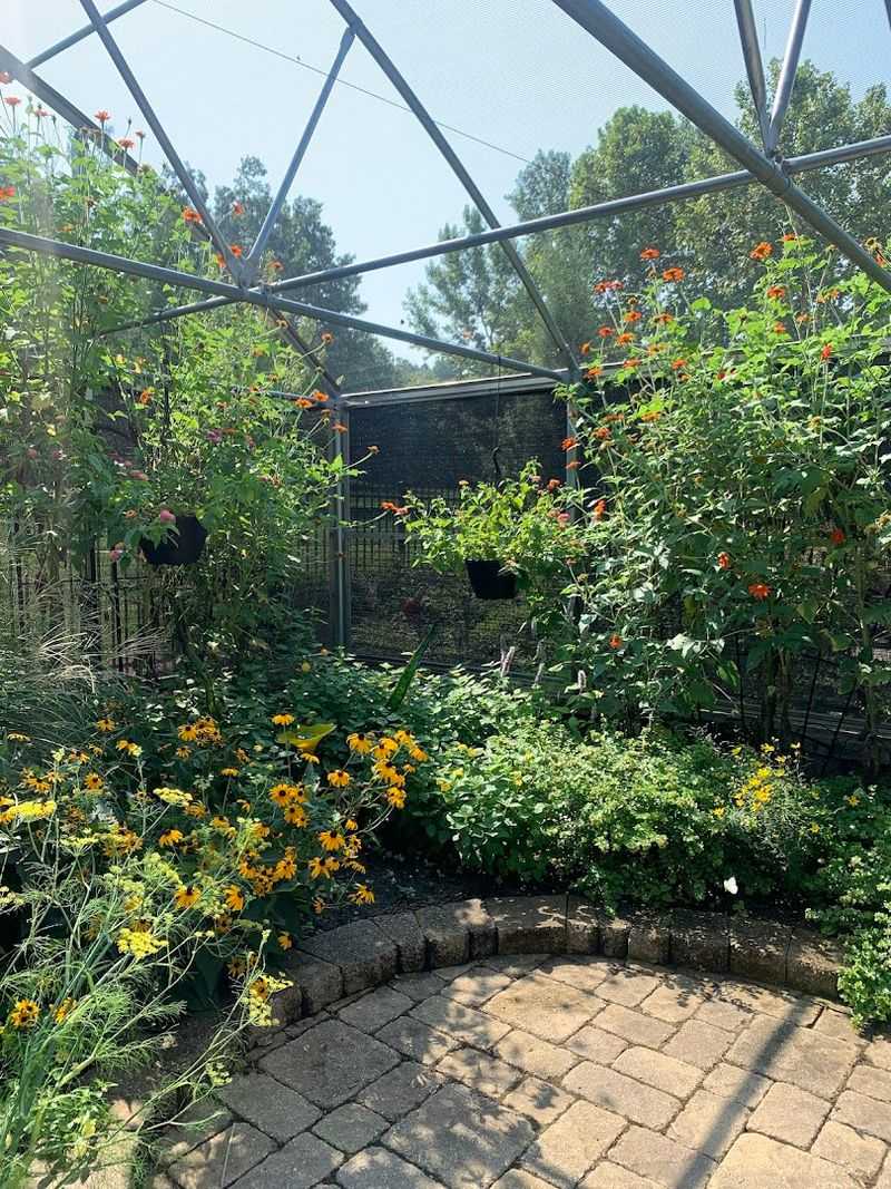 A Glass House Full of Living Color A Glass House Full of Living Color