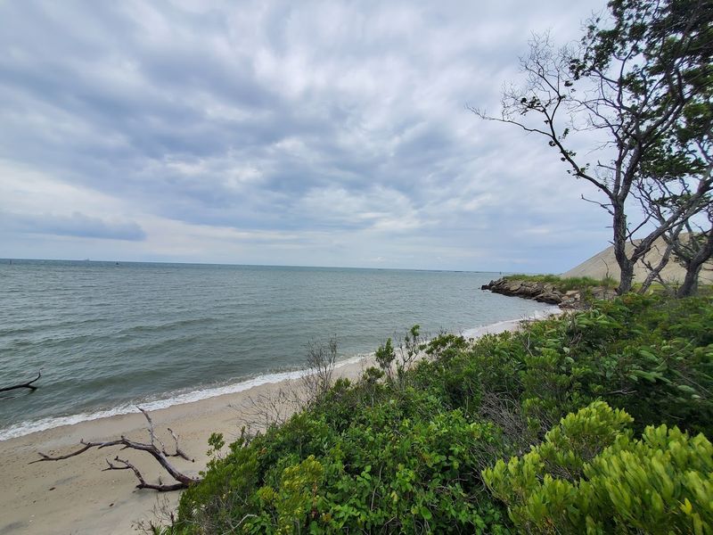 A Globally Rare Ecosystem Right Under Your Feet
