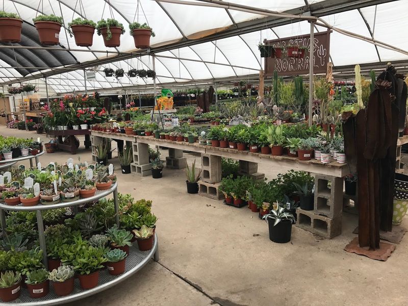 A Greenhouse So Big It Feels Like Its Own Ecosystem A Greenhouse So Big It Feels Like Its Own Ecosystem