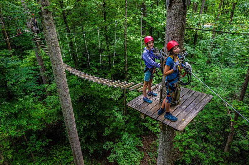 A Guided Journey Through the Forest Ceiling A Guided Journey Through the Forest Ceiling