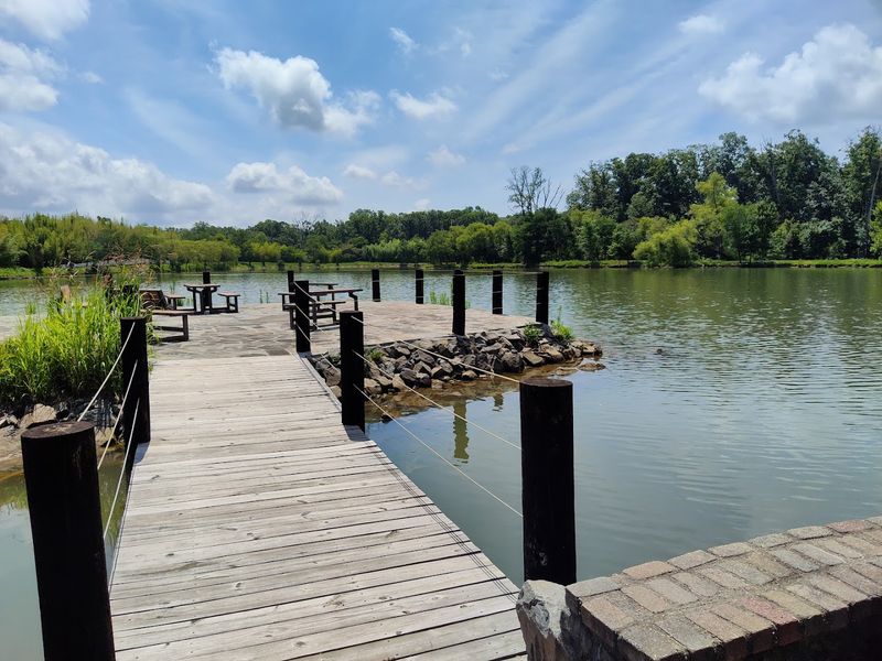 A Lake With a Maze of Islands and Pure Picnic Perfection