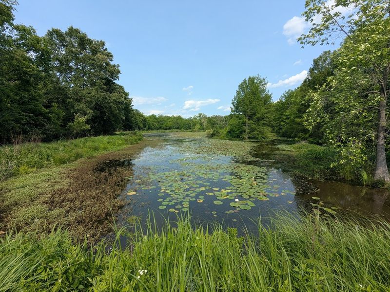A Living Landscape Unlike Anything Else in Missouri
