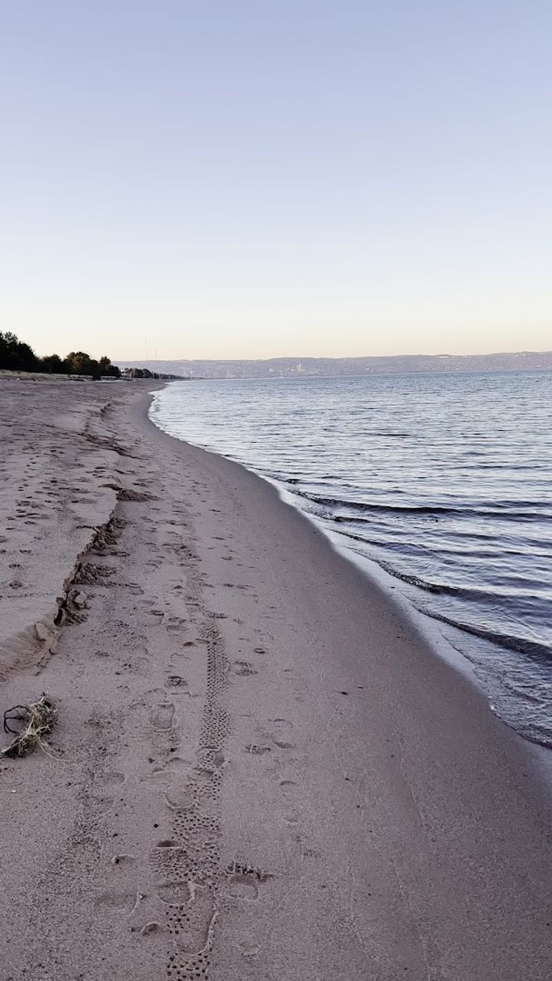 A Long Beach Walk Worth Every Step