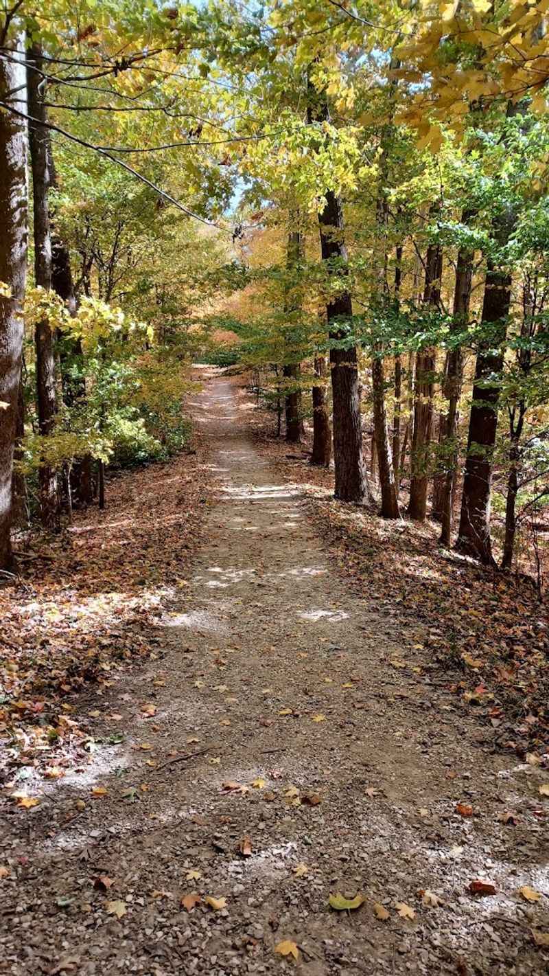 A Mature Hardwood Forest Connected to Indiana's Largest Forest Block A Mature Hardwood Forest Connected to Indiana's Largest Forest Block