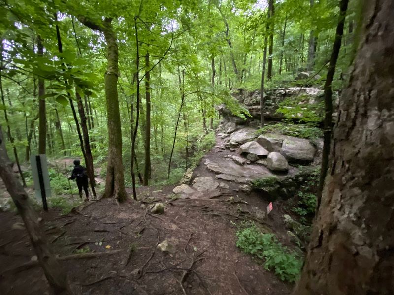 A Moderately Challenging Hike With Real Payoff