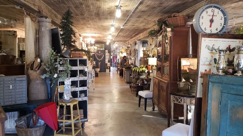 A Monthly Sale Schedule Worth Planning Around