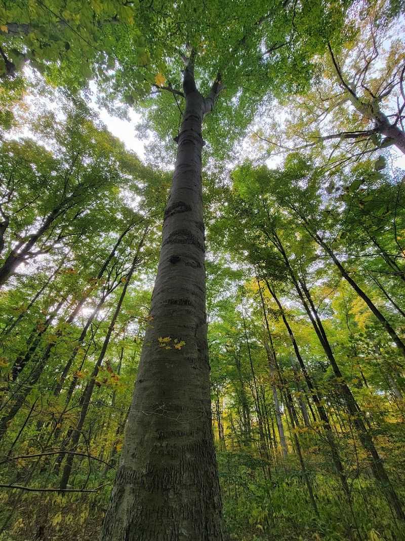 A National Natural Landmark With a Pioneer Past Worth Knowing