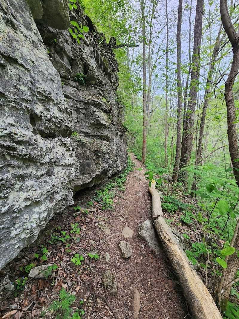 A Natural Amphitheater That Feels Like Another World