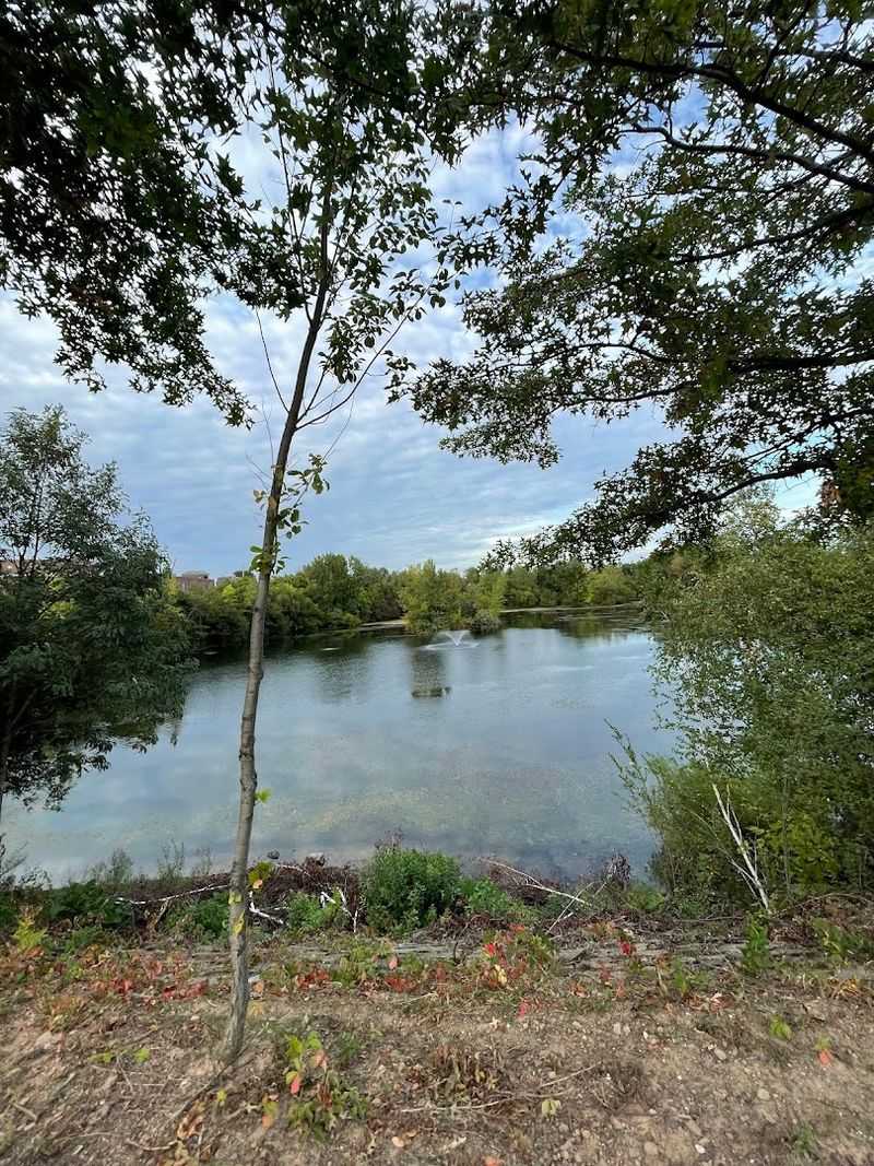 A Nature Walk That Feels Nothing Like a City Stroll