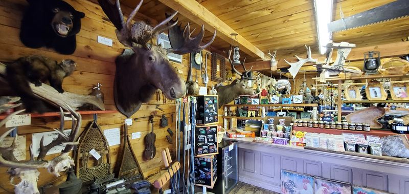 A North Shore Road Trip Stop Worth Making