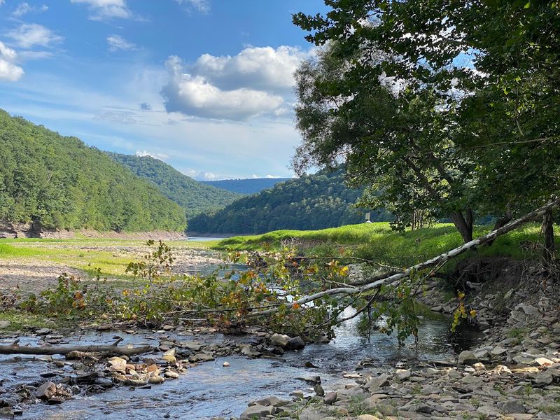 A Park That Feels Like the Rest of the World Forgot About It
